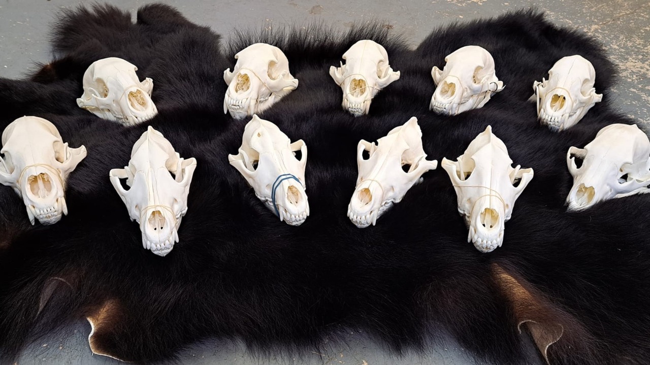 Design sans titre - 1