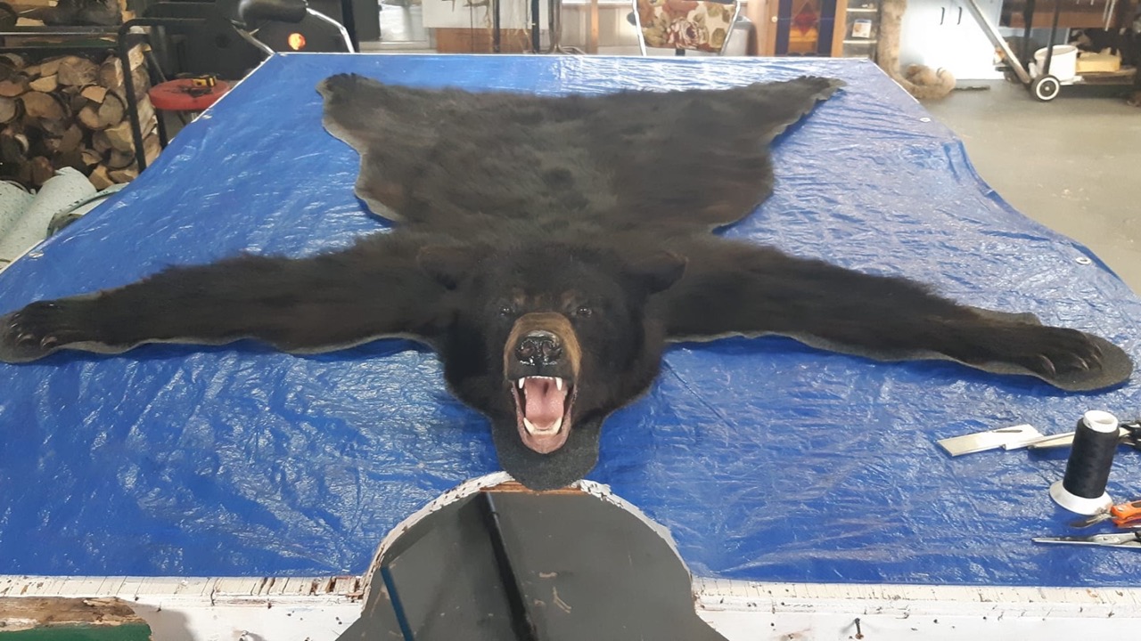 Design sans titre - 2