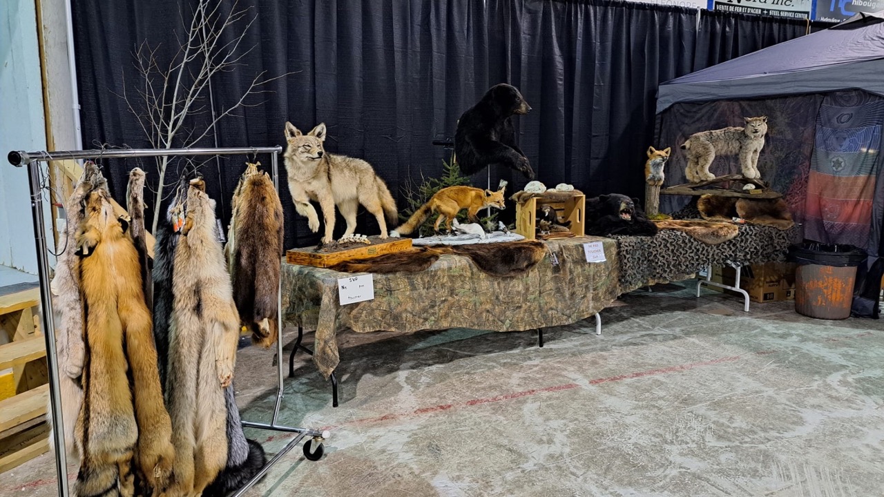 Design sans titre - 3