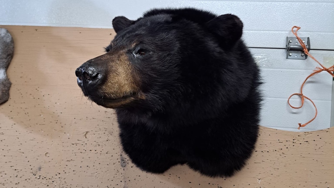 Design sans titre - 4